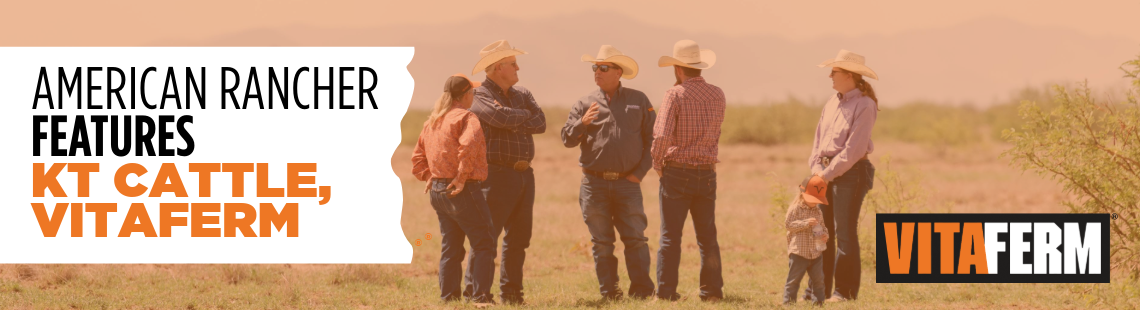 KT Cattle