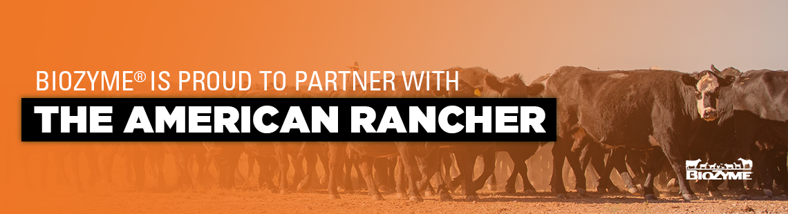 the american rancher
