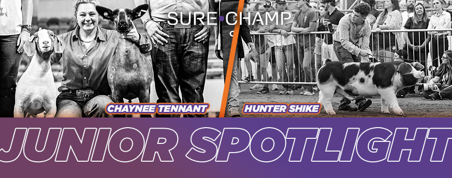 chaynee tennant hunter shike