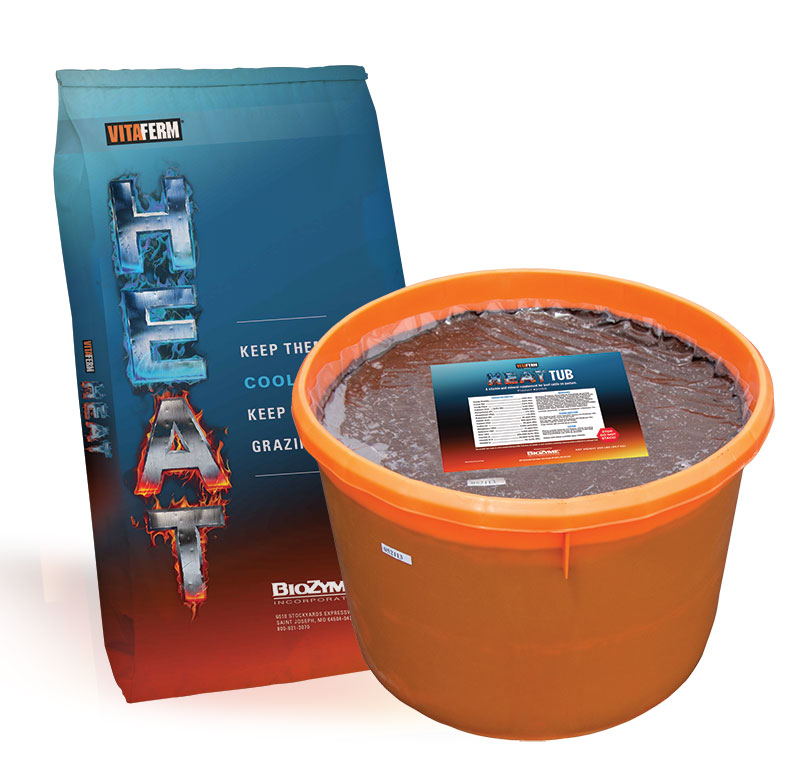 VitaFerm HEAT