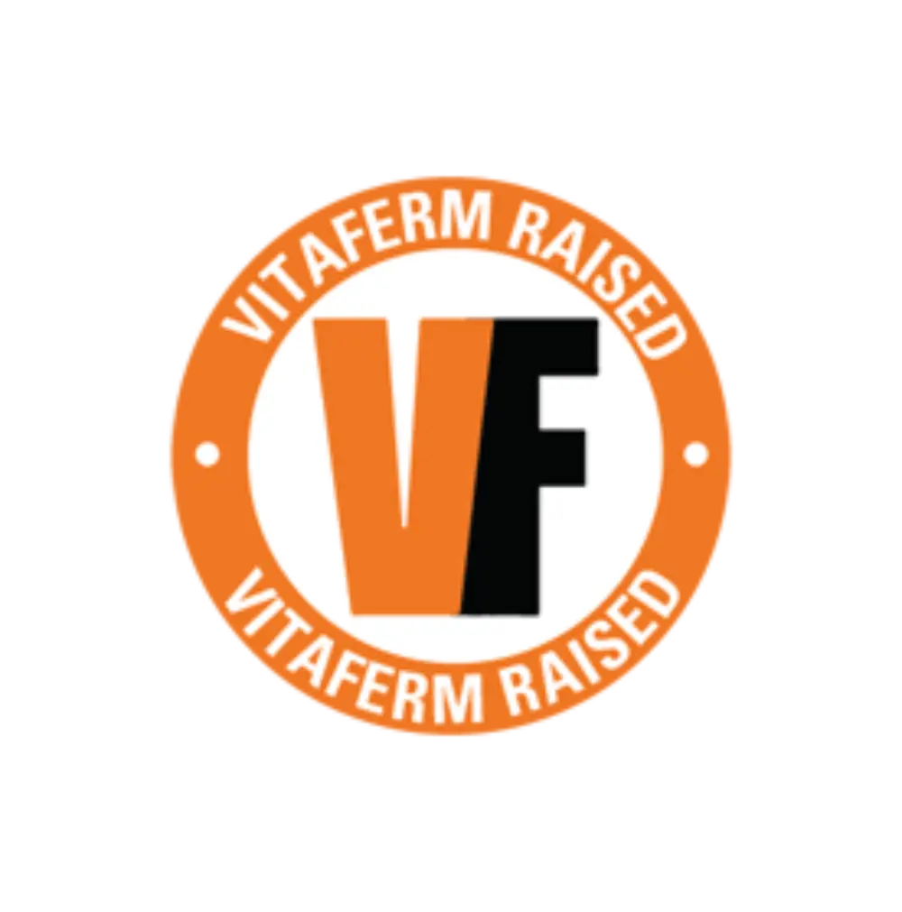 VF Raised Icon