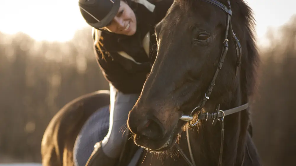 Biozyme horses 0006 Equine riderandhorse AS466502829