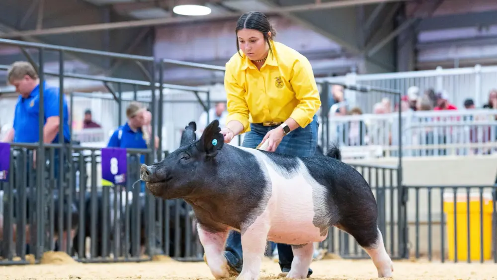 Biozyme show livestock 0011 Kamri Bryant Ringshot