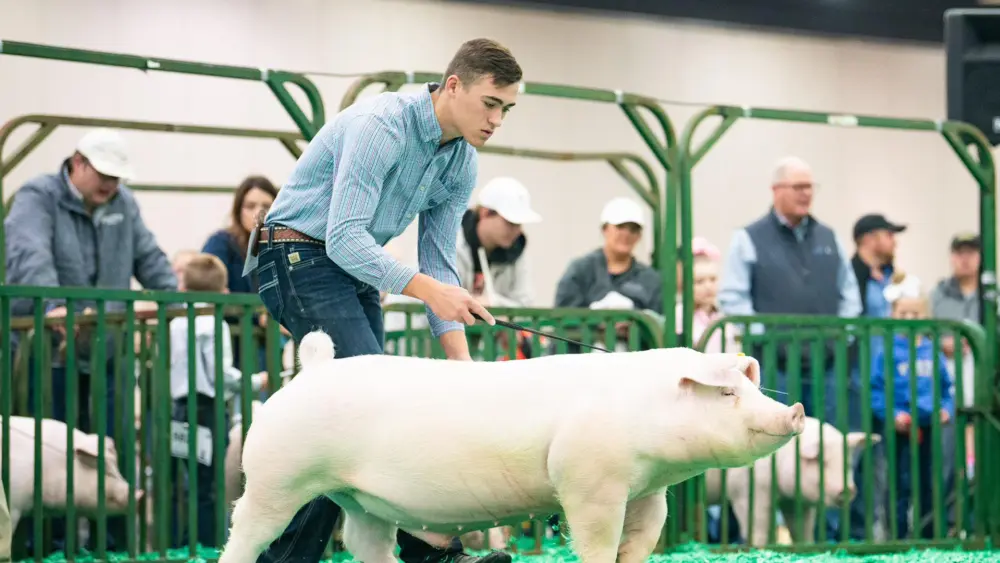 Biozyme show livestock 0026 Austin Amick Ringshot 2