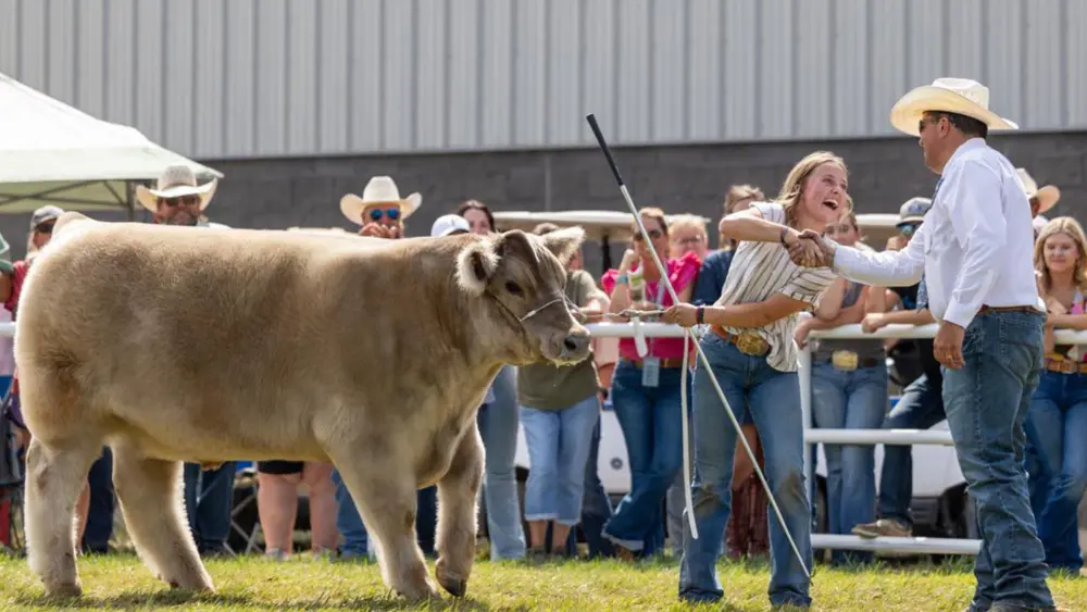 Biozyme show livestock 0012 Kaidyn Kasun Ringshot 2