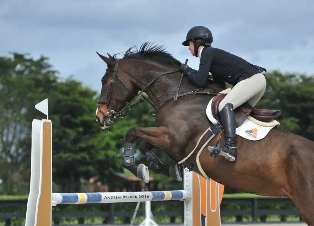 Why horses need amaferm